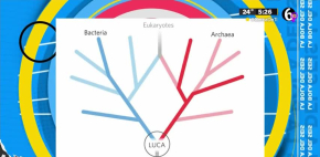 Todos somos descendientes del mismo organismo