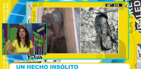 Hombre se esconde arma por detrás y enciende alarmas de seguridad