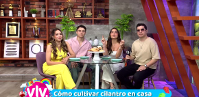 Vivalavi - 18 de abril de 2026