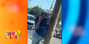 Mujer sufre 200 picaduras de abejas