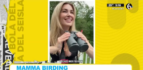 'Mamma Birding' una rara actividad que deja miles de dólares