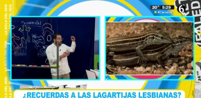 Casos sorprendentes sobre la reproducción animal