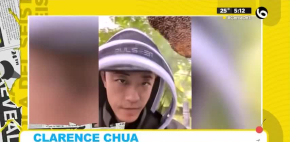 Clarence Chua el rescatista de millones de abejas