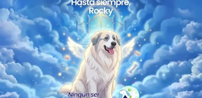 Laura Bozzo exige justicia por el perrito Rocky