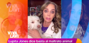 Famosas piden justicia para Rocky, perrito que fue arrastrado por camioneta