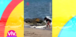 Pescador salva a tiburón y lo regresa al mar