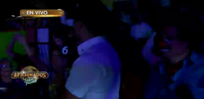 Pollo recibe cariño de la gente
