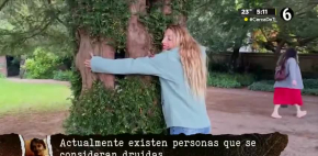En la antiguedad algunos árboles eran cosinderados sagrados