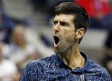 Djokovic arrasa con Del Potro y es el nuevo rey del US Open