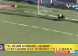 Un perro evita gol en un partido en Argentina