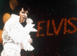 'Revivirá' Elvis Presley
