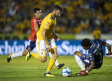 PREVIA: Tigres vs. Veracruz, Fecha 6