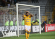 Rasguñan a Tigres