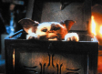 Regresan los Gremlins