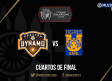 Sigue el MINUTO A MINUTO del partido entre Dynamo y Tigres