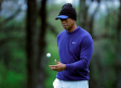 Demanda responsabiliza a Tiger Woods por muerte de chofer ebrio