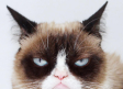 Muere la famosa gatita 'Grumpy Cat'