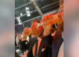 Tom Brady vuelve a demostrar que puede tomar cerveza a jilo