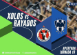 Minuto a Minuto: Xolos vs Rayados