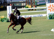 Enrique González gana el Gran Premio del Concurso de Salto en el Club Hípico La Silla