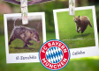Bayern Munich quiere fichar a 'Choricito'
