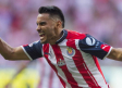 El 'Gallito' regresa a Chivas para el Clausura 2020