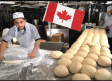 Canadá busca panaderos mexicanos, ofrecen sueldo de $32,200 al mes