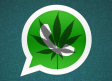WhatsApp: el medio de comunicación preferido de los narcos