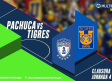 Pachuca vs Tigres En vivo: Liga MX