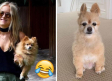 Se aburre en cuarentena y le corta el pelo a su perro…¡sale mal!