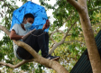 Joven que no dispone de Internet en casa, se trepa a un árbol para tomar sus clases en línea