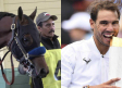 Retiran a caballo llamado 'Nadal' y se alarman aficionados al tenis