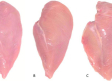 Irregularidades en la calidad del pollo si la carne presenta rayas blancas