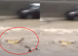 VIDEO: Captan el momento en que un hombre es arrastrado por la corriente