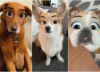 Nuevo filtro convierte a tu mascota en un... ¡personaje de Disney!