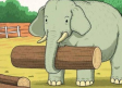 RETO VISUAL: Encuentra al animal camuflajeado junto al elefante