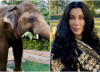 Viaja Cher a Pakistán para agradecer la liberación del elefante Kaavan