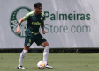 Palmeiras, sin casos de coronavirus para la Libertadores