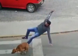 VIDEO: Perrito 'atropella' a peatón que intentaba cruzar la calle