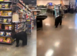 ¿Fue de compras? Captan a oso caminando por los pasillos de un supermercado en Los Ángeles