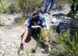 Rayados reforestan en las Grutas de García