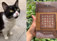 Joven vende libro para pagar tratamiento de su gatita y poder salvar su vida