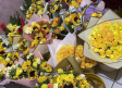 SIGNIFICADO: ¿Por qué regalan flores amarillas el 21 de marzo?