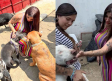 Karely Ruiz llora al visitar refugio de perritos y gesto se hace viral