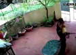 Perro ataca a hombre para evitar secuestro de niña a pesar de los disparos que recibió