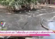 Descubren zoológico abandonado por cuarentena