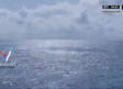 VIDEO: Captan monstruo monocular en mar de Tailandia