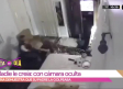 VIDEO: Empresario es captado golpeando a su hija y amenazando con matar a su mascota