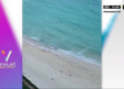 VIDEO: Tiburón casi devora a 'tercos' bañistas en playa de Cancún