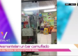 Desmantelan bar camuflado en tienda de mascotas durante la cuarentena